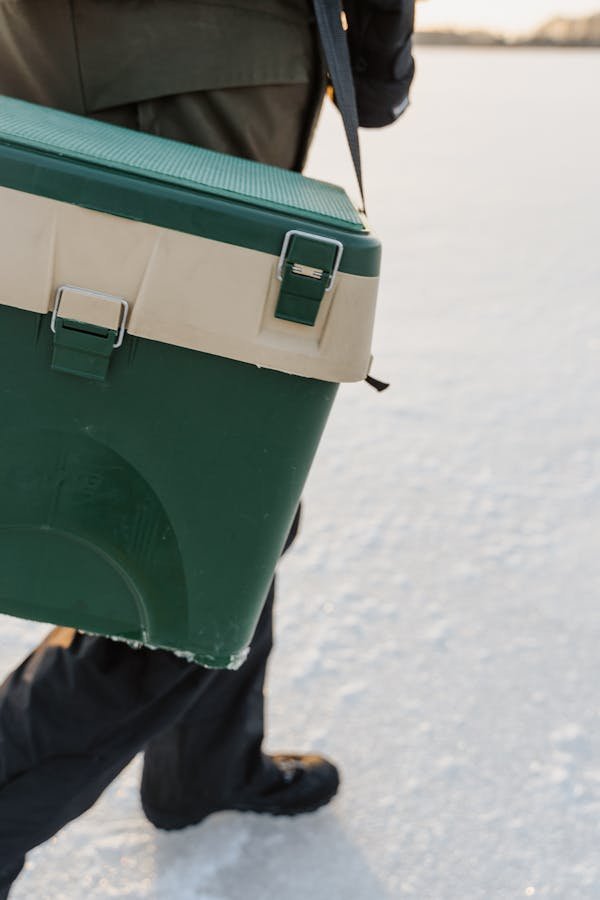 Glacière voiture : mini frigo pour van et véhicules compactes